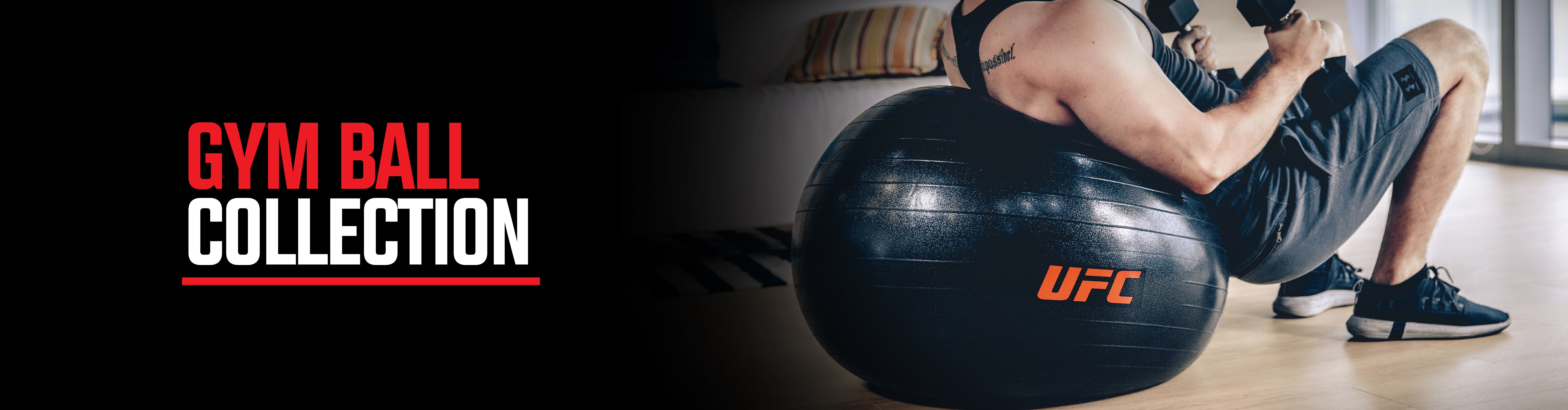 360Sports Exercise Ball