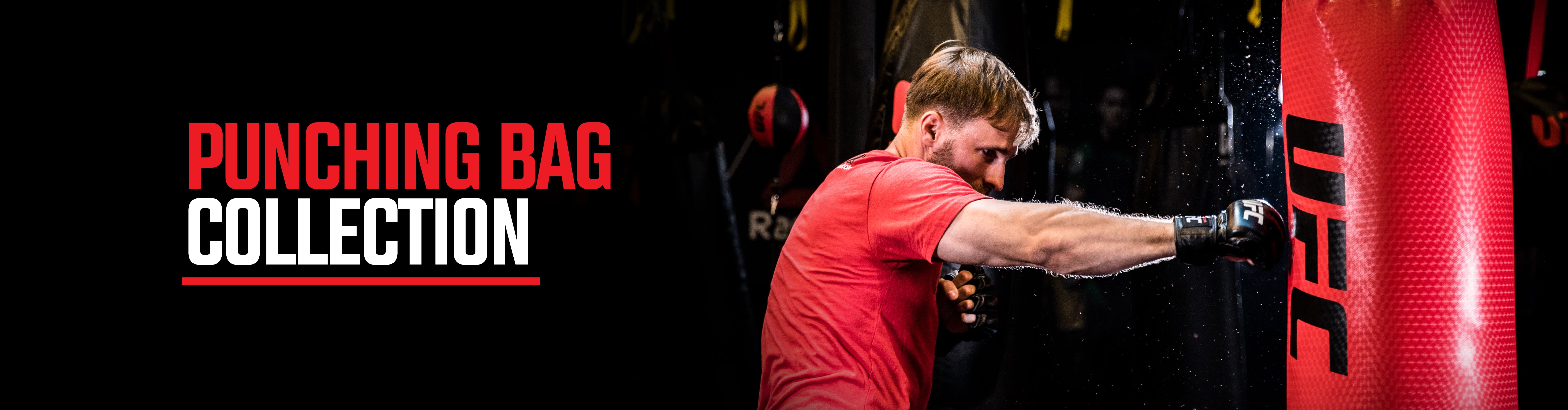360Sports Punching Bags