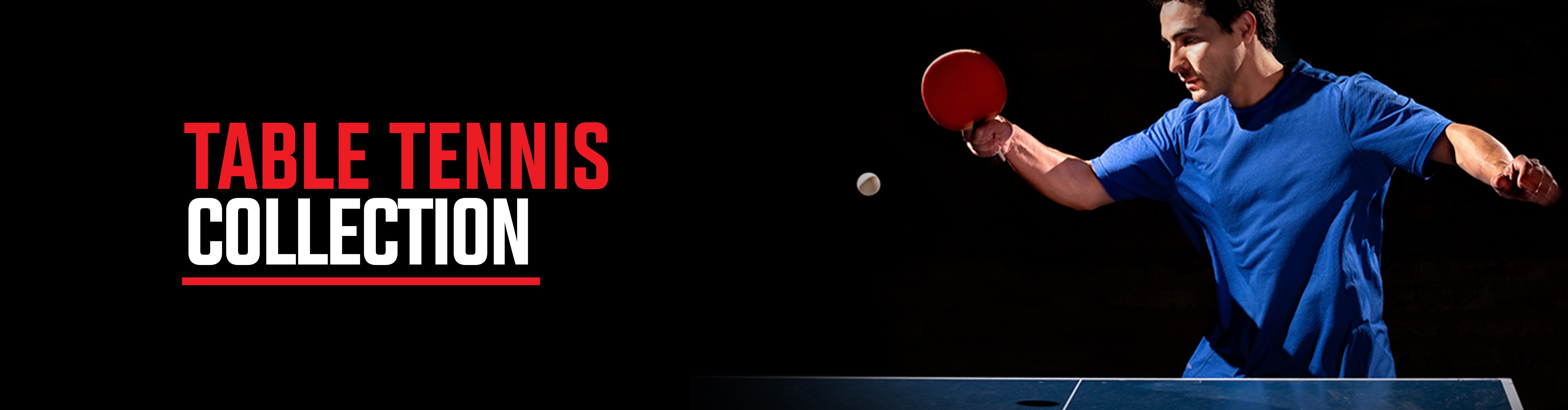 360Sports Table Tennis