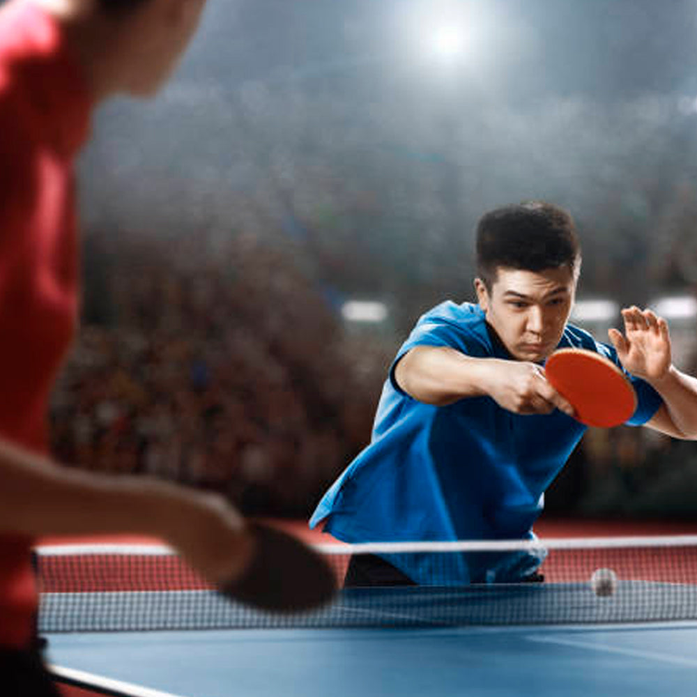 Sunflex Prime S10 Table Tennis Bat