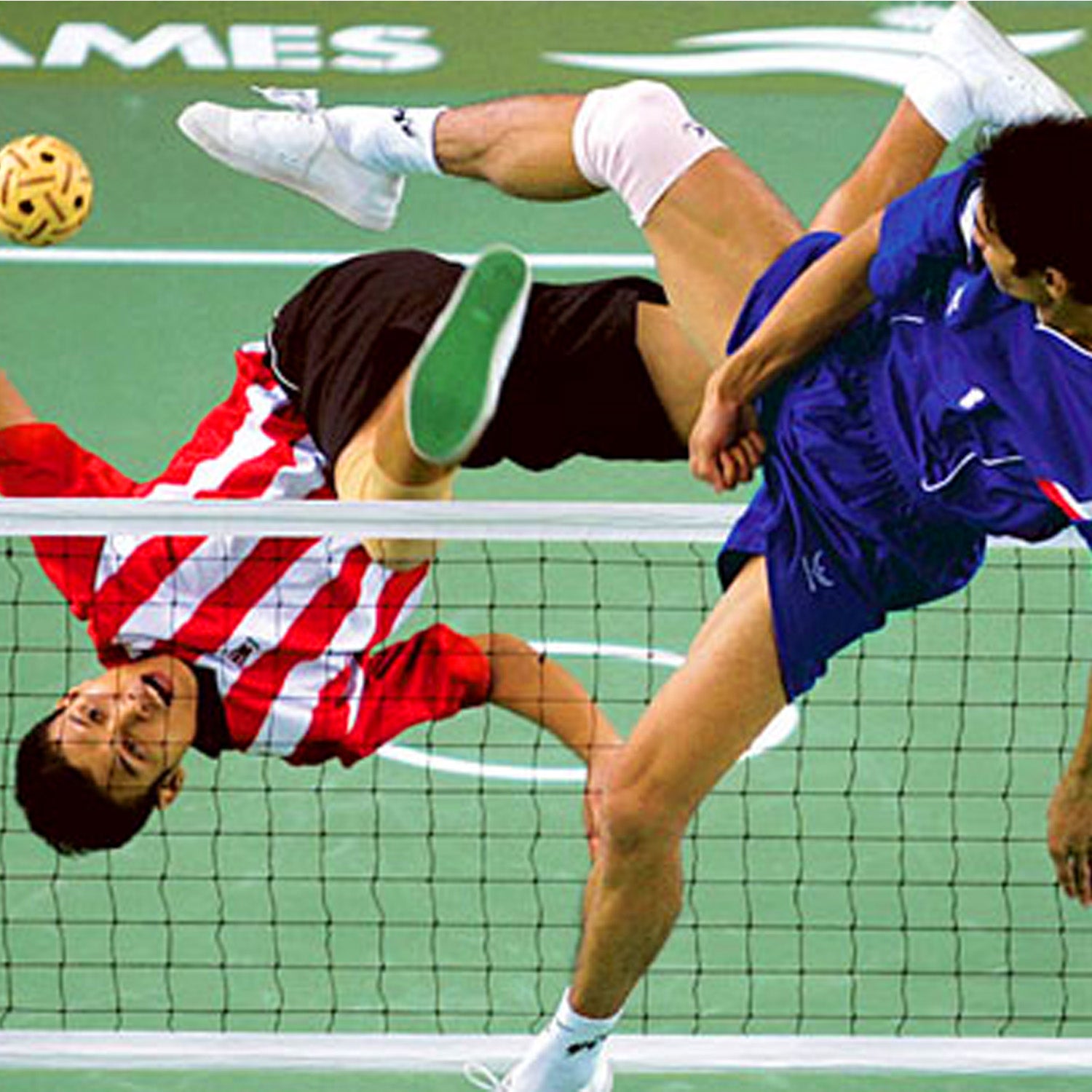 Elite Official Sepak Takraw Net