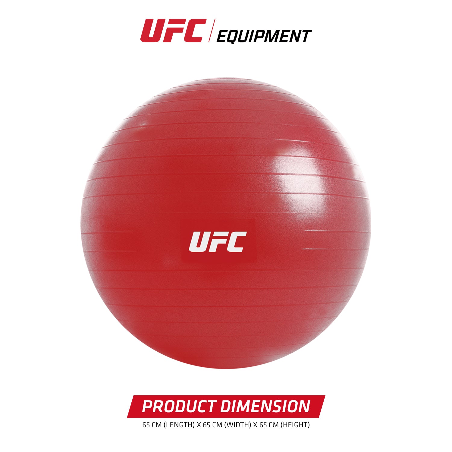 UFC Fitness / Exercise Ball - 65 cm